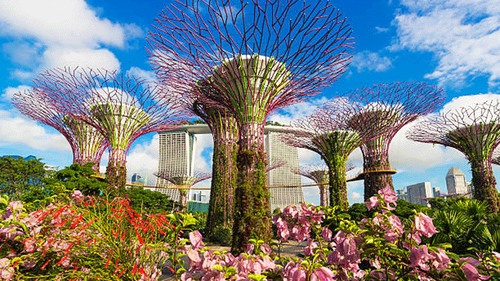 Tour Singapore 3N2D: Khám Phá Đảo Quốc Sư Tử