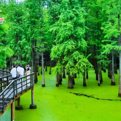 Tour Bắc Kinh - Hàng Châu - Ô Trấn - Đầm Thanh Sơn (Hồ Mattcha) - Thượng Hải